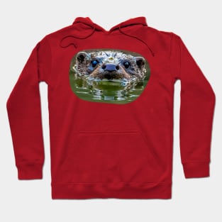 Face of a European Otter Hoodie